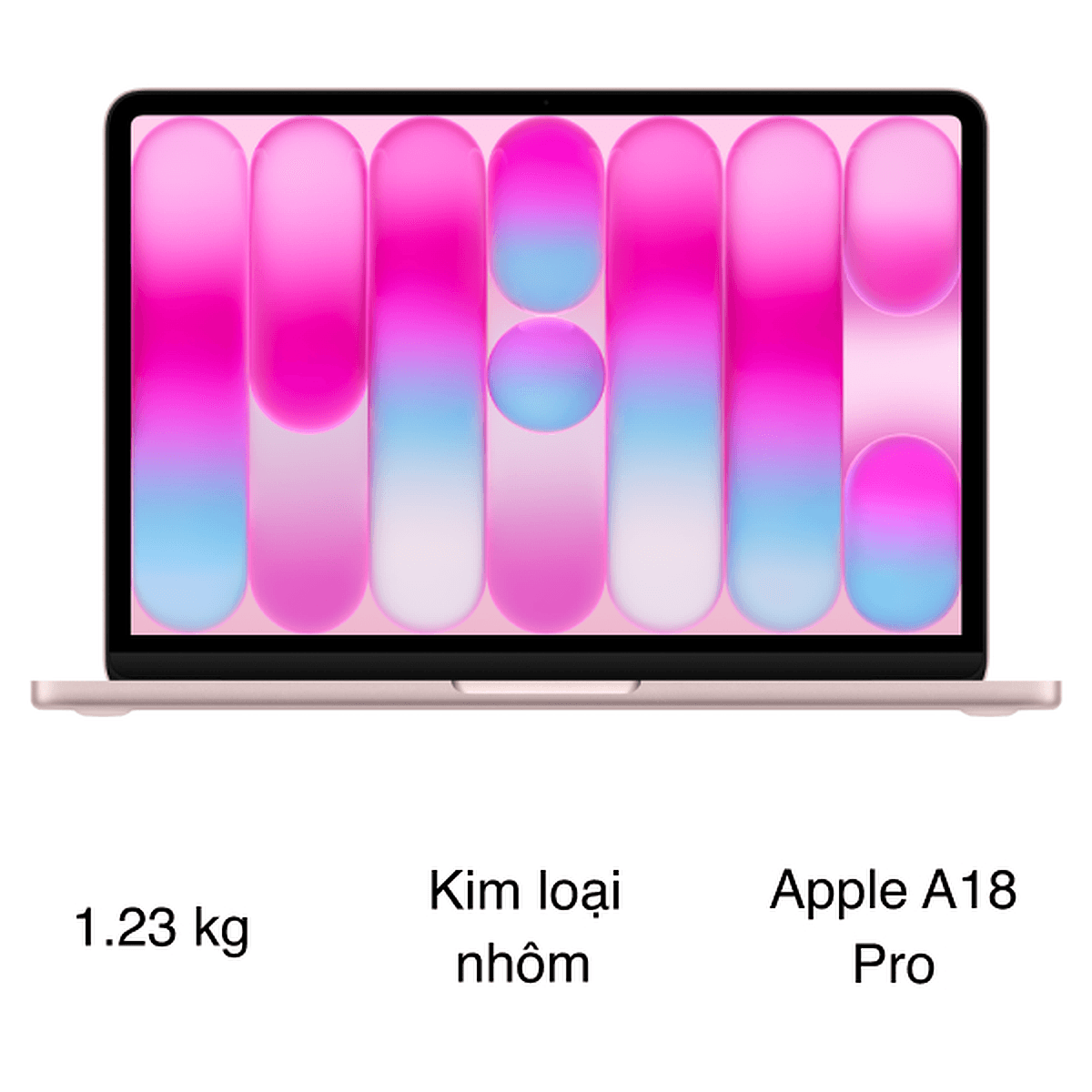 MacBook Neo inch A18 Pro / 2